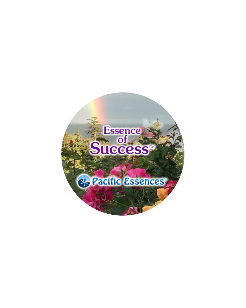 Essence of Success - Elixir du Succès