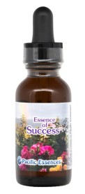 Essence of Success - Elixir du Succès