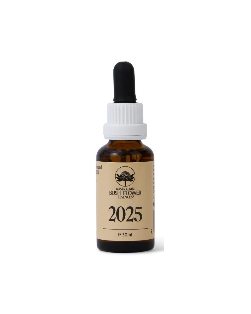 2025 Essence