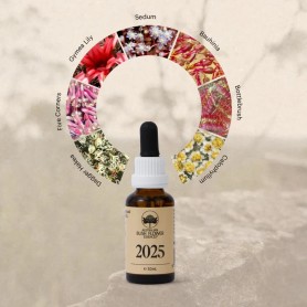2025 Essence