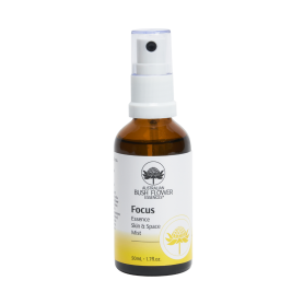 Focus Essence Mist - brume...