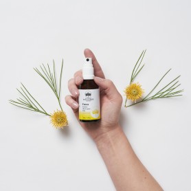 Focus Essence Mist - brume focus