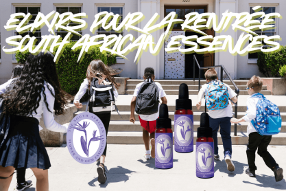 Elixirs pour la rentrée -...