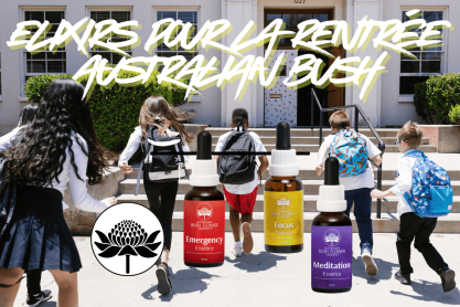 Elixirs pour la rentrée -...