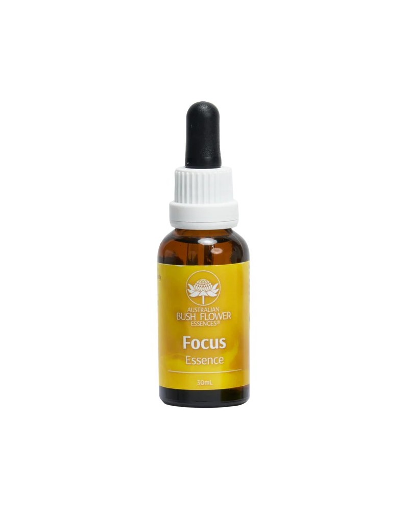 Focus essence - Complexe floral concentration