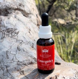 Emergency Essence - Complexe floral urgence