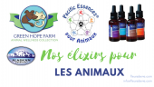 Elixirs pour les animaux