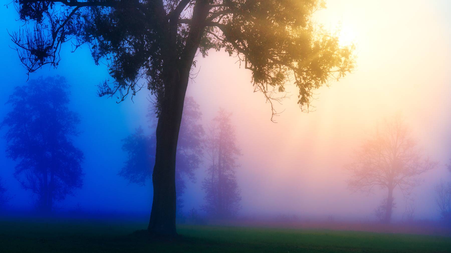 L’hygiène énergétique