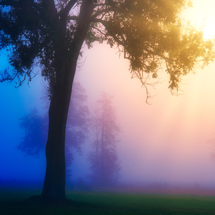 L’hygiène énergétique