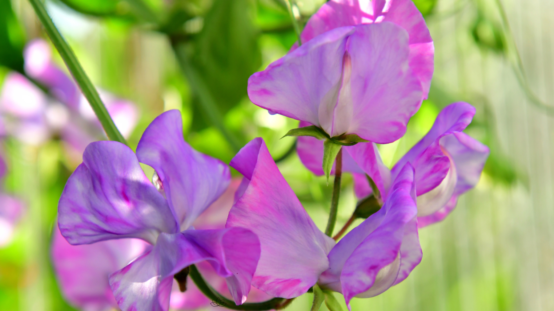 Si vous avez déjà fixé le plafond vers 2 h du matin, lisez ceci