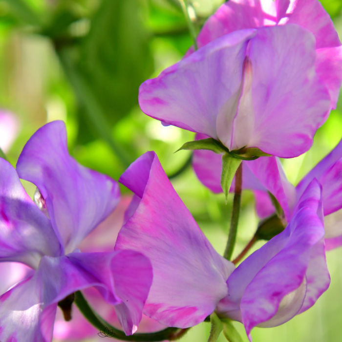 Si vous avez déjà fixé le plafond vers 2 h du matin, lisez ceci