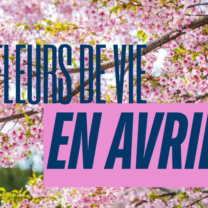 Fleurs de Vie en avril 2026