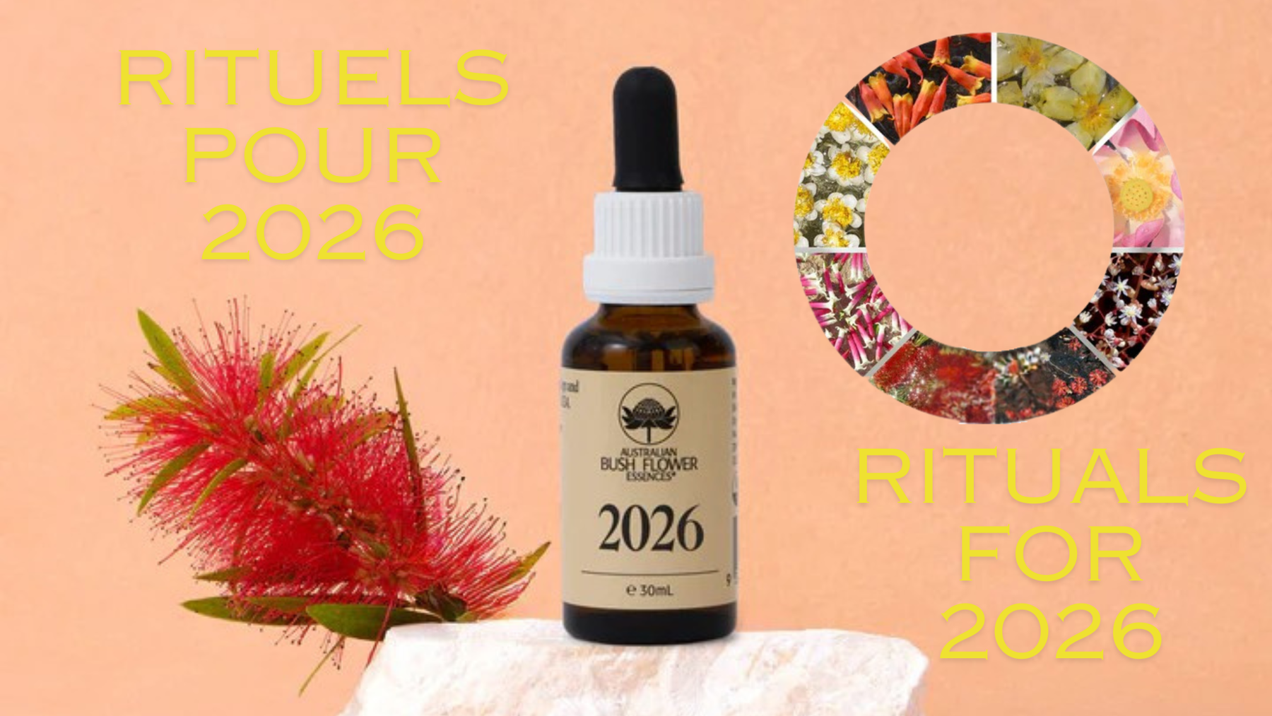 Les rituels de la journée – conseils de la part d’Ian White à propos de l’élixir 2026