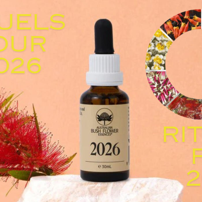 Les rituels de la journée – conseils de la part d’Ian White à propos de l’élixir 2026