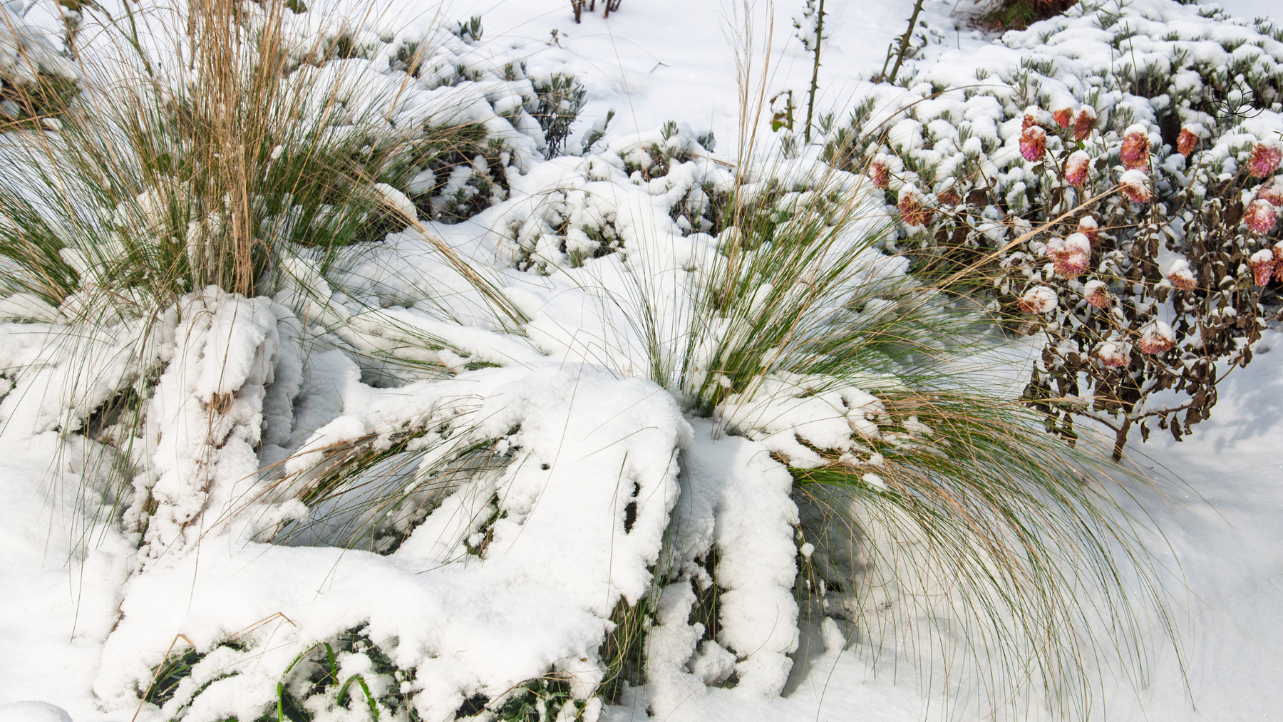 Bien préparer les fêtes