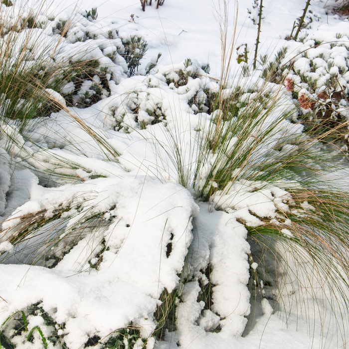 Bien préparer les fêtes