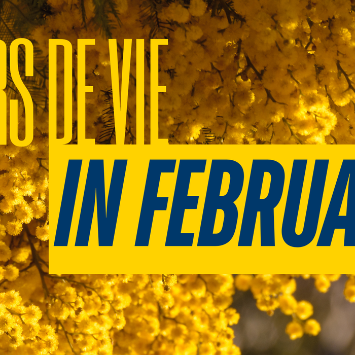 Fleurs de Vie en février 2026