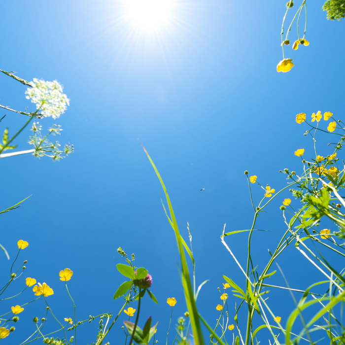 Accueillir l'abondance dans votre vie