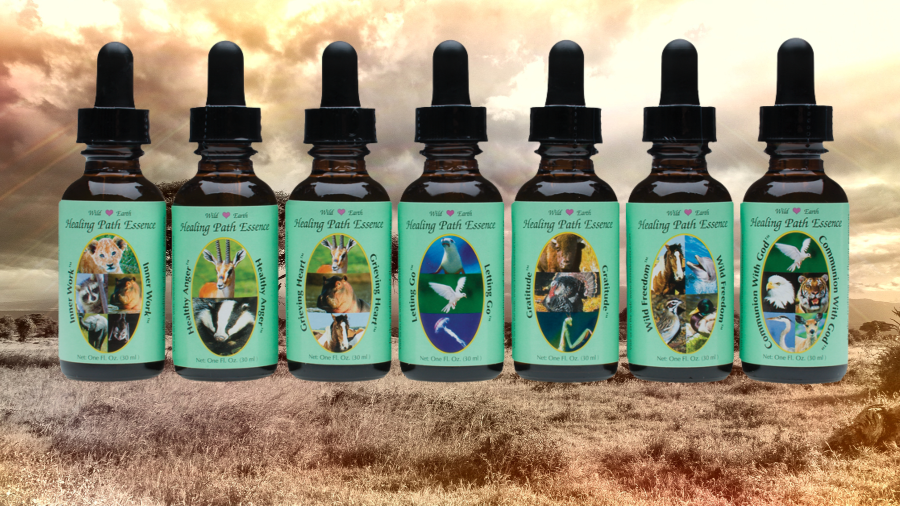 Les complexes Healing Path de Wild Earth