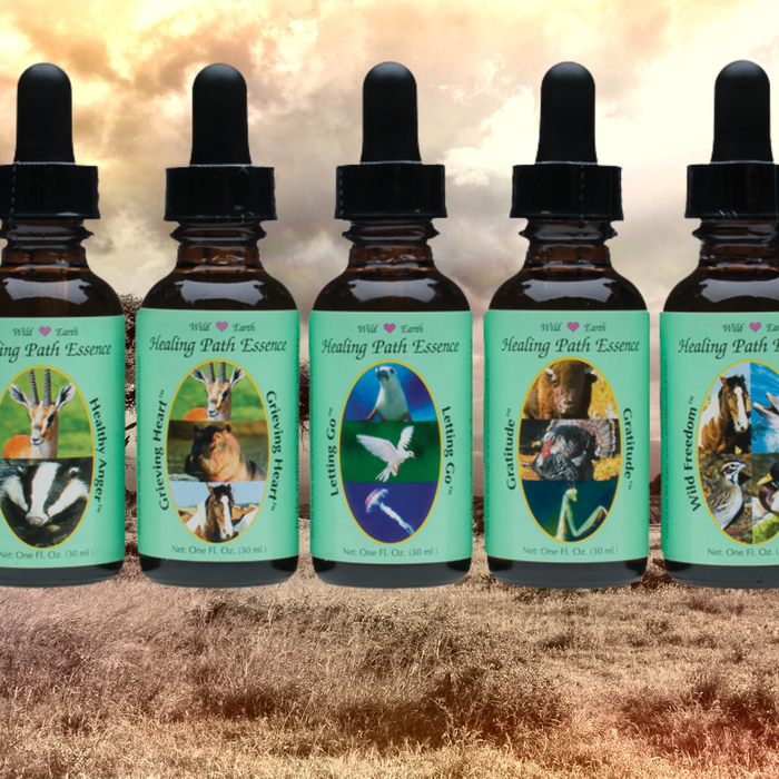 Les complexes Healing Path de Wild Earth