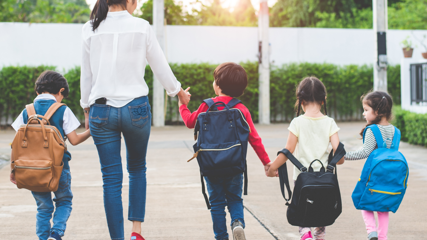 Les élixirs et la rentrée