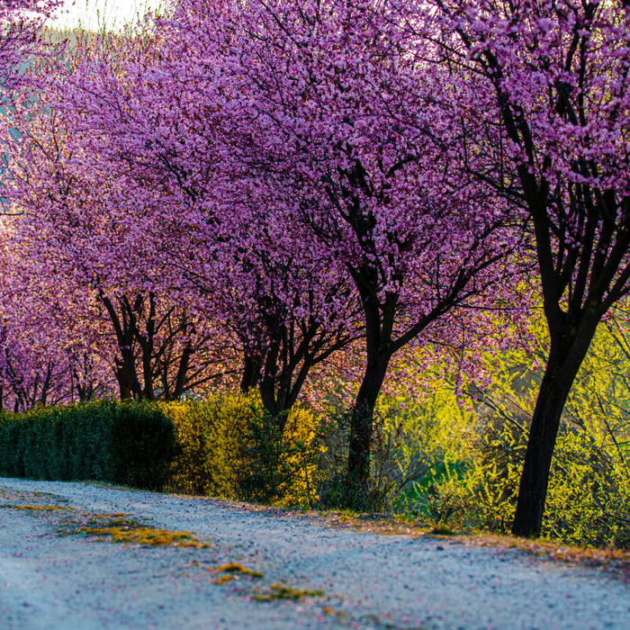 Comment choisir son élixir
