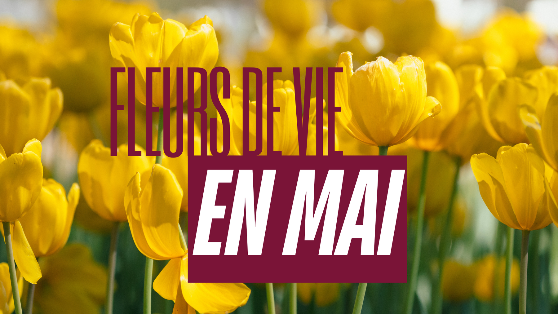 Fleurs de Vie en mai 2026