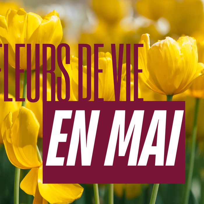 Fleurs de Vie en mai 2026