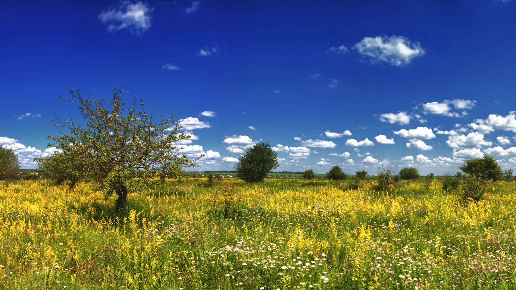 La nature ne recule pas. Elle avance déjà vers le repos