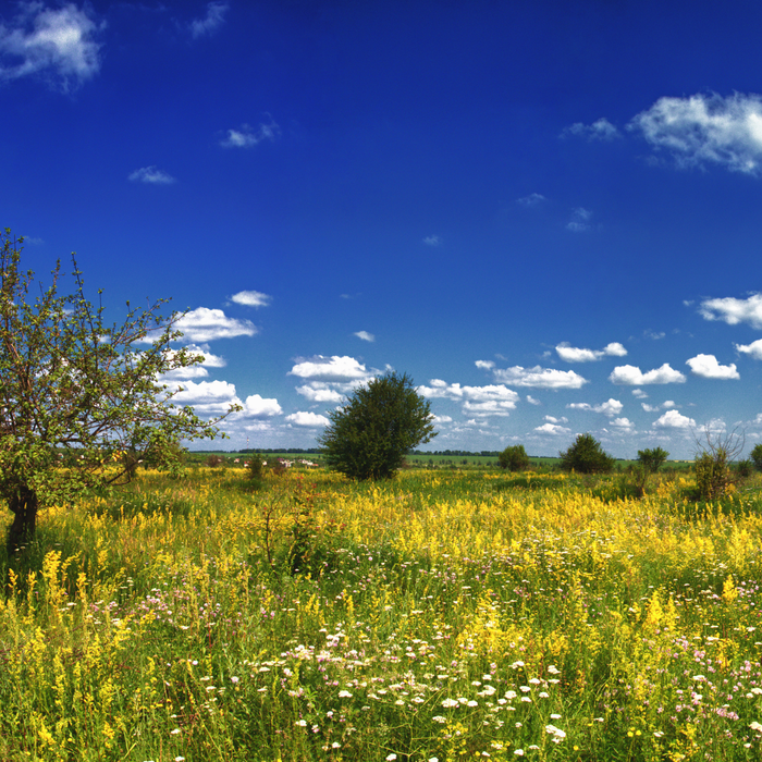 La nature ne recule pas. Elle avance déjà vers le repos
