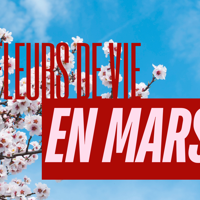 Fleurs de Vie en mars 2026