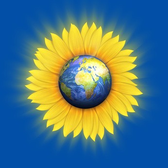 Fleurs de Vie - Autres produits et services