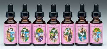 Wild Earth Animal - Complexes Sharing Love