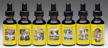 Wild Earth Animal - Elixirs Inner Dog