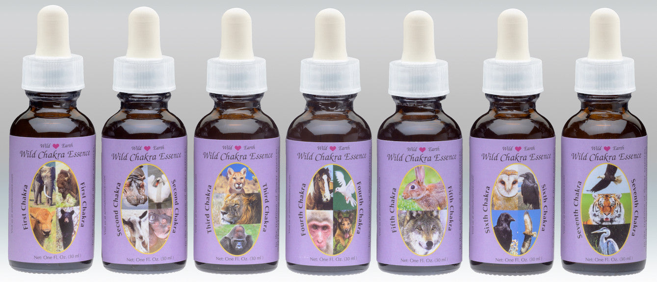 Wild Earth Animal - Wild Chakra Essences