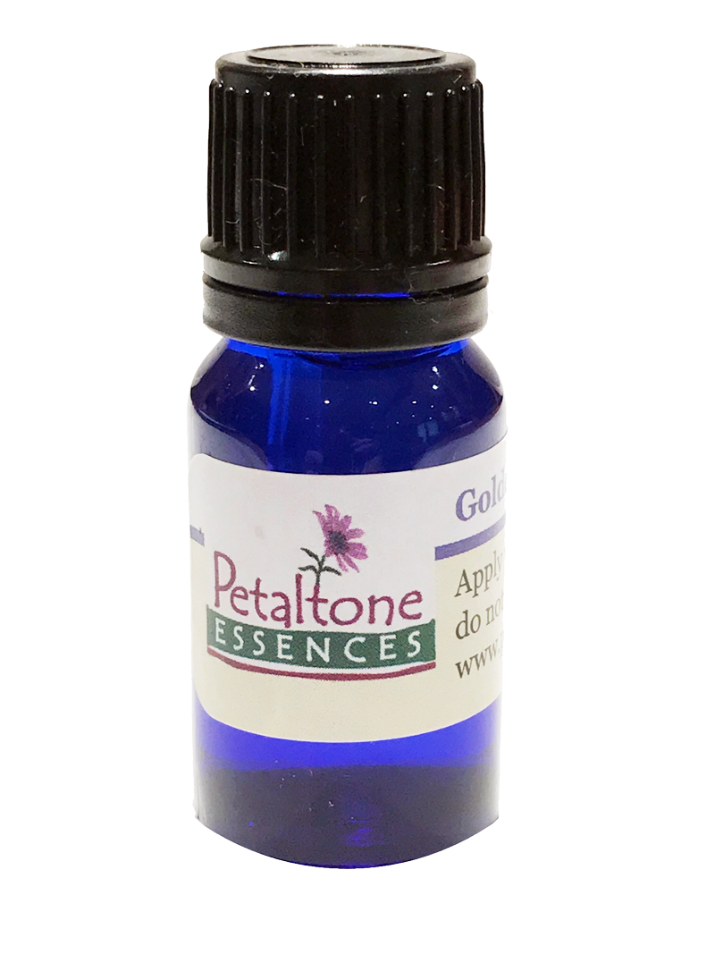 Hawaiian 2 “Plumeria”