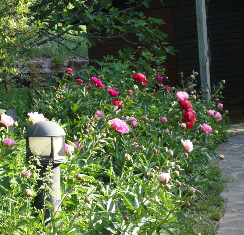 Générosité - generosity