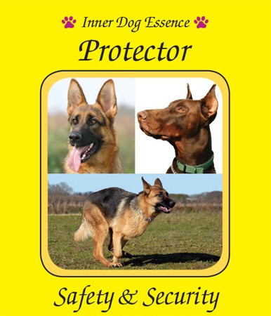 Protector