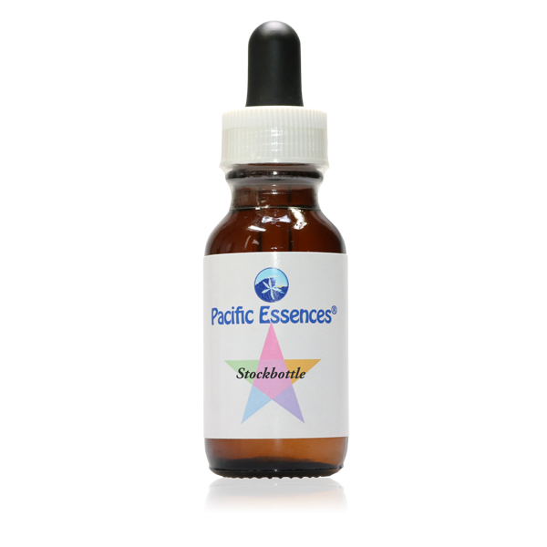 Red Huckleberry - Airelle