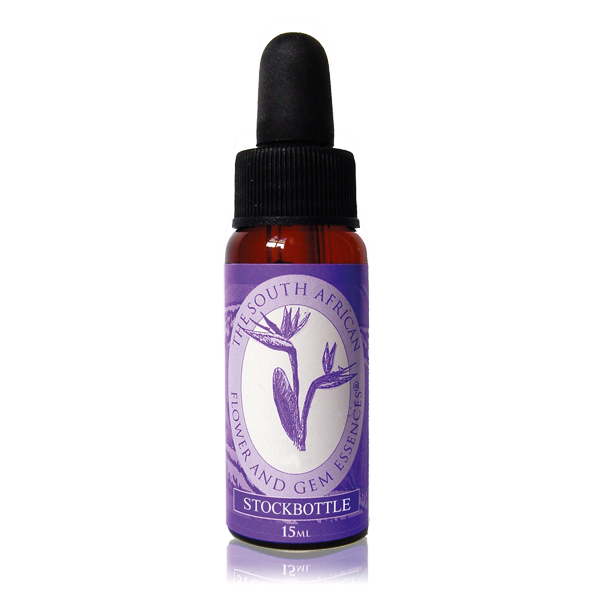 Nasturtium