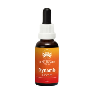 Dynamis essence - Complexe floral dynamisme