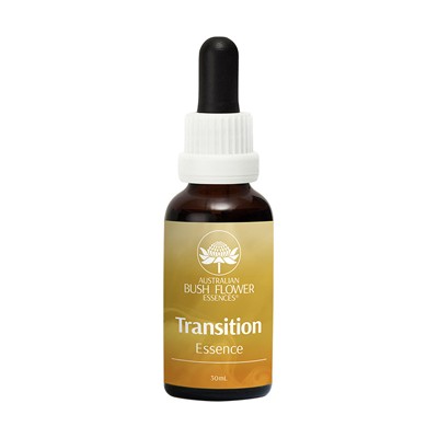 Transition Essence