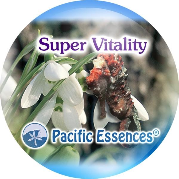 Super Vitality (super vitalité)