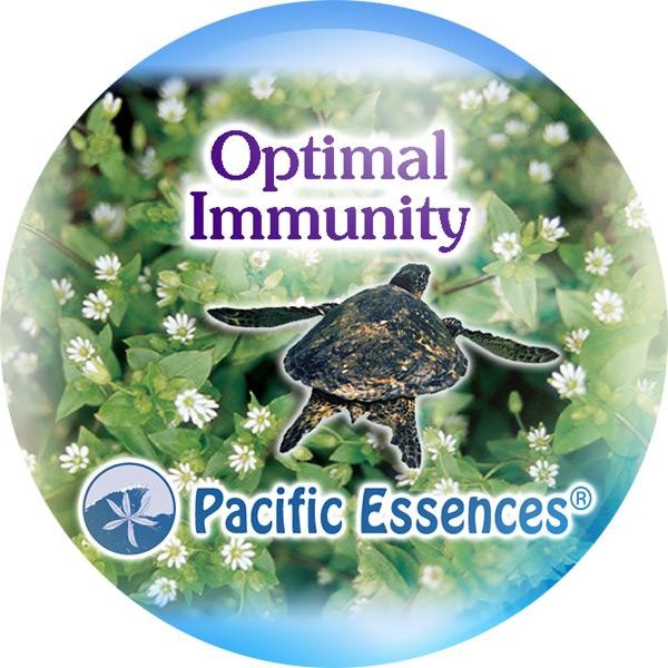 Optimal Immunity (immunité optimale)