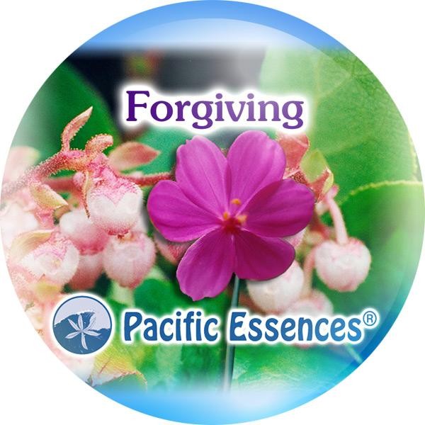 Forgiving (pardonner)