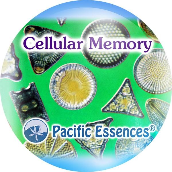 Cellular Memory (mémoire cellulaire)