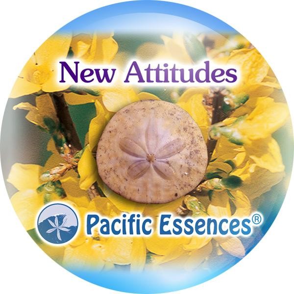 New Attitudes (nouvelles attitudes)