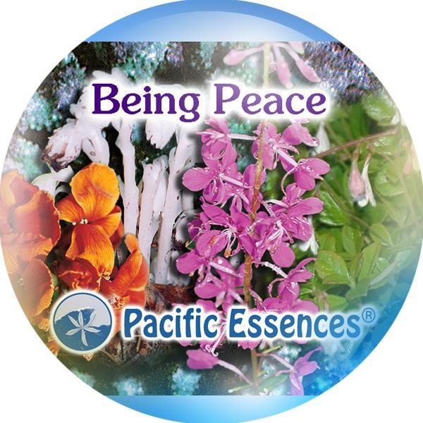 Being Peace (être la paix)