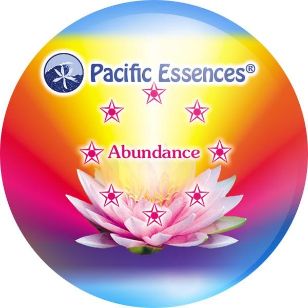 Abundance Essence