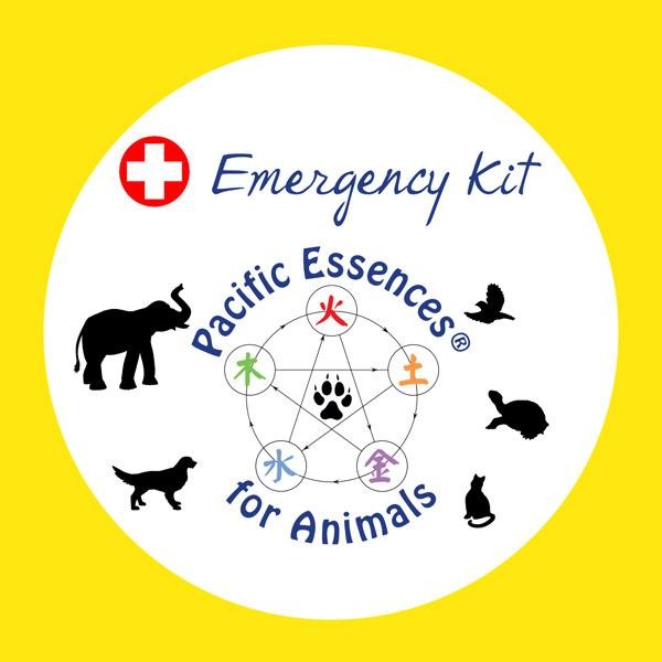 Trousse d'Urgence pour animaux